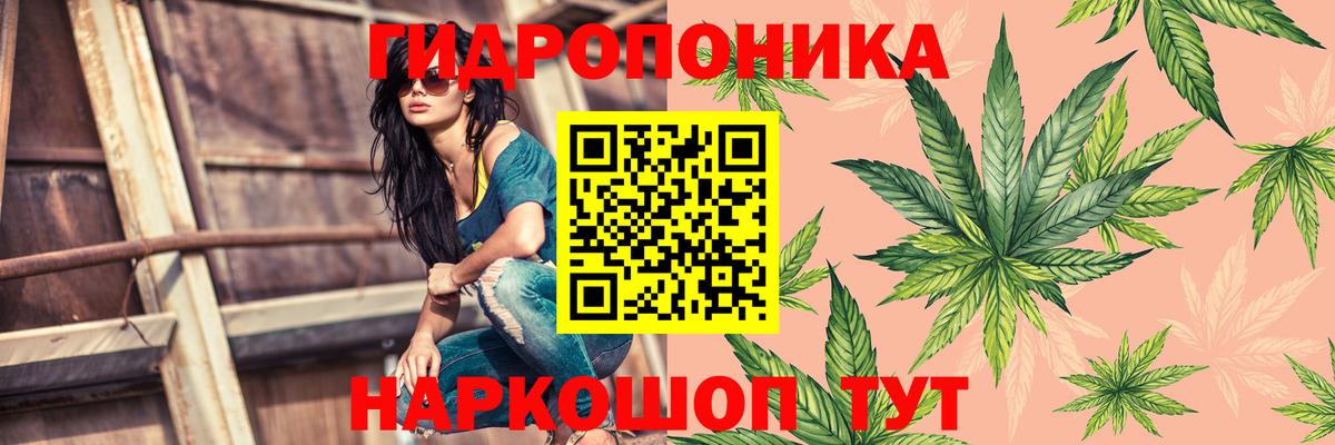 Щёлково  Шишки марихуана LSD WEED  Канабис гибрид  Вход с VPN  Бошки марихуана индика 